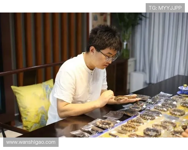 专访篮球明星张伟深度剖析其成功背后的秘诀与心路历程